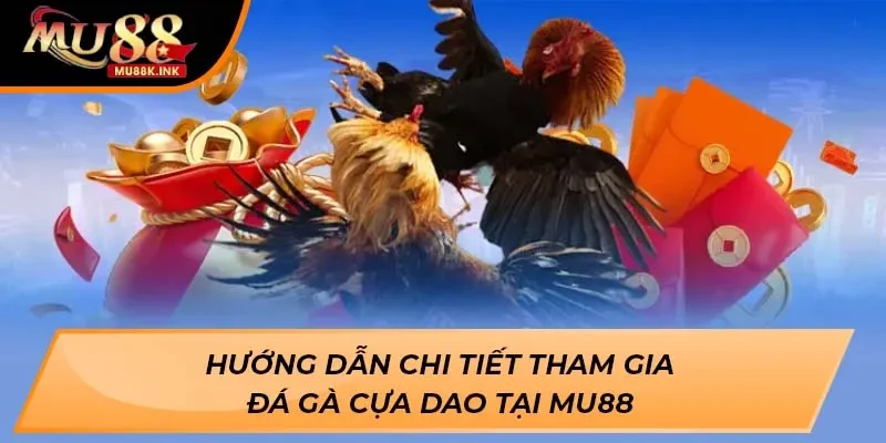 Đá gà cựa dao