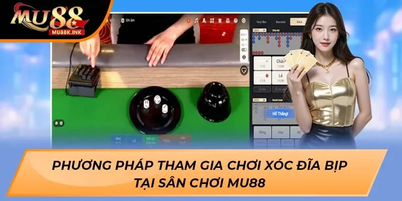 Xóc Đĩa bịp