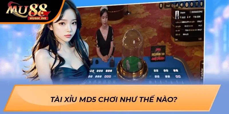 Tài Xỉu MD5