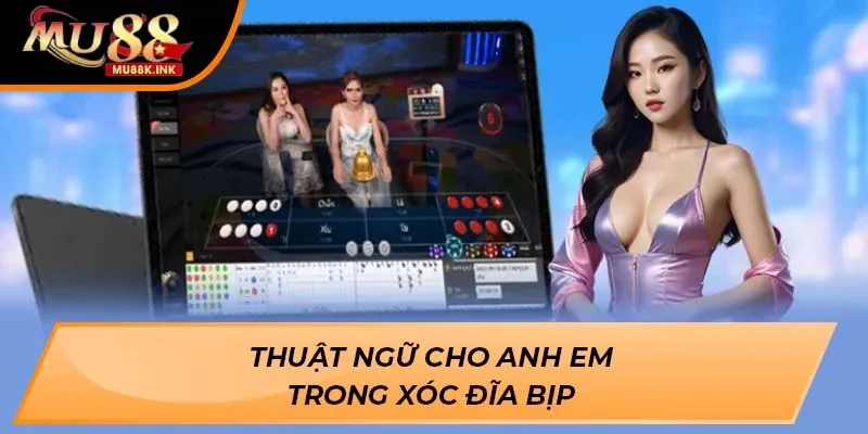 Xóc Đĩa bịp